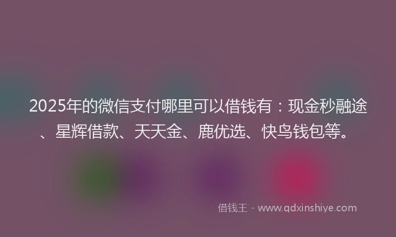2025年的微信支付哪里可以借钱有：现金秒融途、星辉借款、天天金、鹿优选、快鸟钱包等。