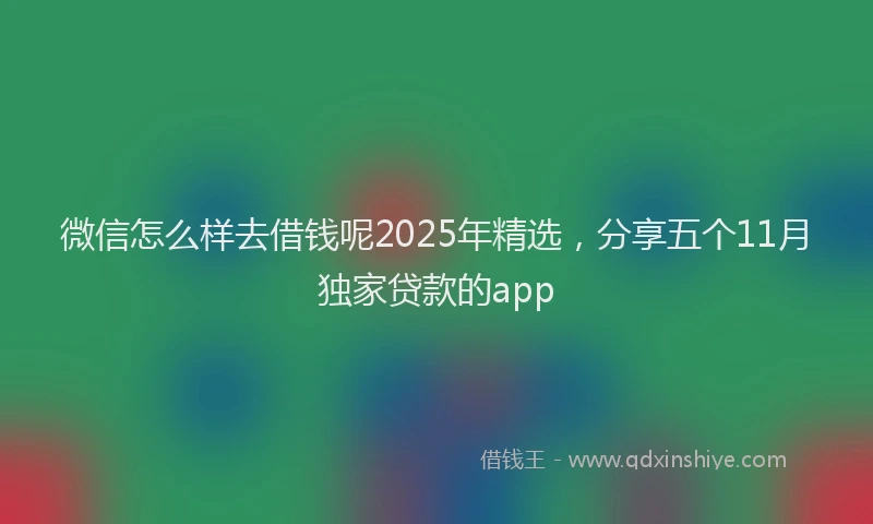 微信怎么样去借钱呢2025年精选，分享五个11月独家贷款的app