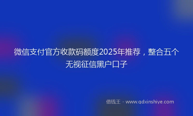 微信支付官方收款码额度2025年推荐，整合五个无视征信黑户口子