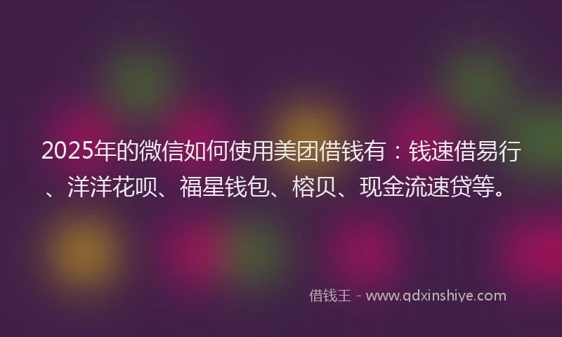2025年的微信如何使用美团借钱有：钱速借易行、洋洋花呗、福星钱包、榕贝、现金流速贷等。