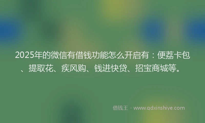 2025年的微信有借钱功能怎么开启有：便荔卡包、提取花、疾风购、钱进快贷、招宝商城等。