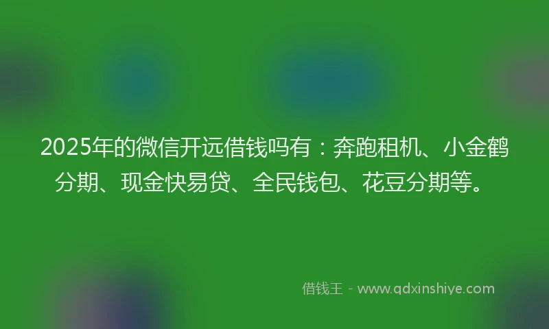 2025年的微信开远借钱吗有：奔跑租机、小金鹤分期、现金快易贷、全民钱包、花豆分期等。