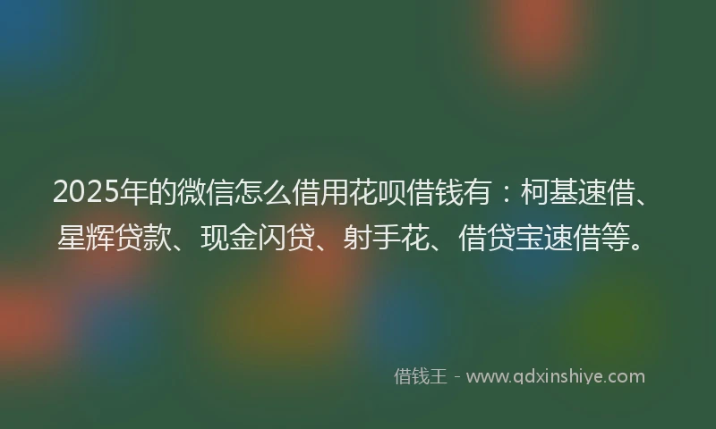 2025年的微信怎么借用花呗借钱有：柯基速借、星辉贷款、现金闪贷、射手花、借贷宝速借等。