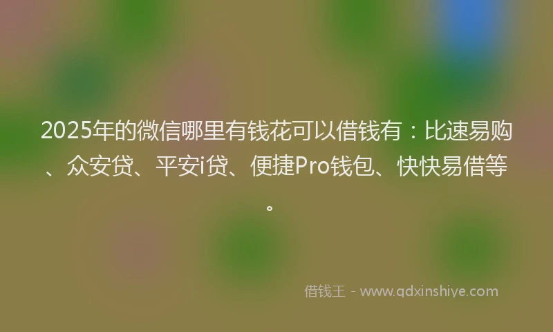 2025年的微信哪里有钱花可以借钱有：比速易购、众安贷、平安i贷、便捷Pro钱包、快快易借等。