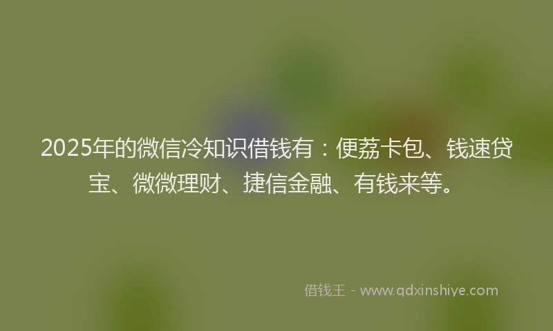2025年的微信冷知识借钱有：便荔卡包、钱速贷宝、微微理财、捷信金融、有钱来等。