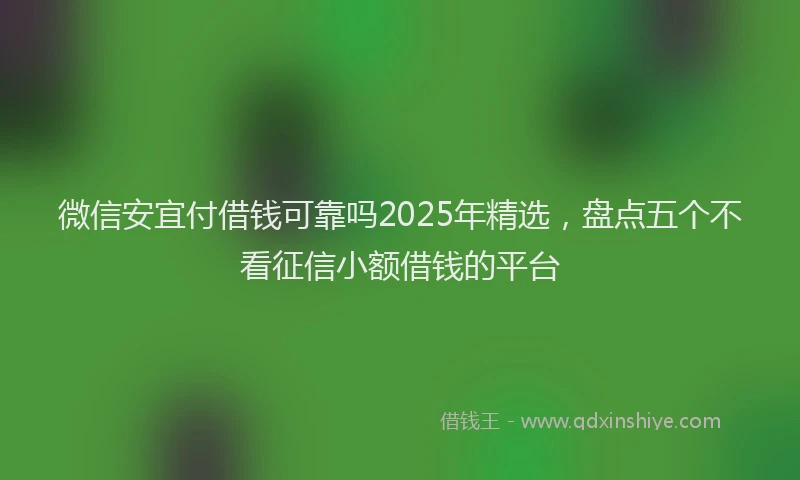 微信安宜付借钱可靠吗2025年精选，盘点五个不看征信小额借钱的平台