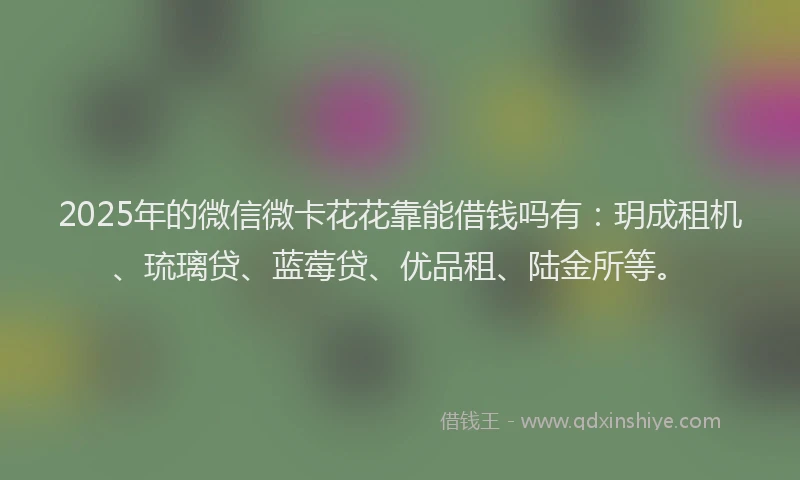 2025年的微信微卡花花靠能借钱吗有：玥成租机、琉璃贷、蓝莓贷、优品租、陆金所等。