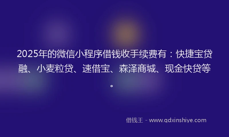 2025年的微信小程序借钱收手续费有：快捷宝贷融、小麦粒贷、速借宝、森泽商城、现金快贷等。