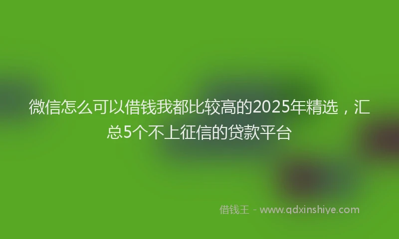微信怎么可以借钱我都比较高的2025年精选，汇总5个不上征信的贷款平台