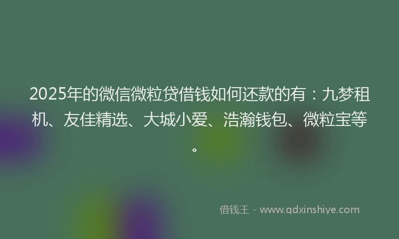2025年的微信微粒贷借钱如何还款的有：九梦租机、友佳精选、大城小爱、浩瀚钱包、微粒宝等。