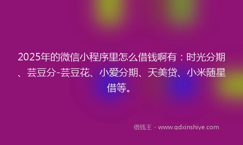 2025年的微信小程序里怎么借钱啊有：时光分期、芸豆分-芸豆花、小爱分期、天美贷、小米随星借等。