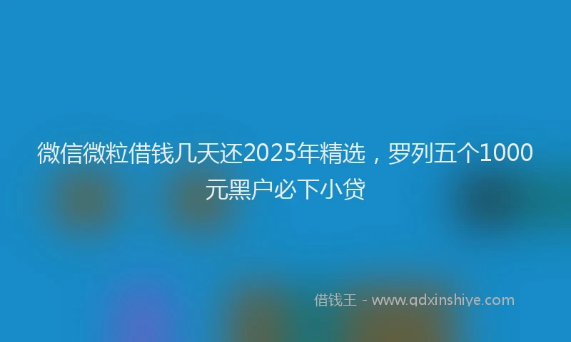 微信微粒借钱几天还2025年精选，罗列五个1000元黑户必下小贷