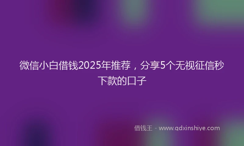微信小白借钱2025年推荐，分享5个无视征信秒下款的口子