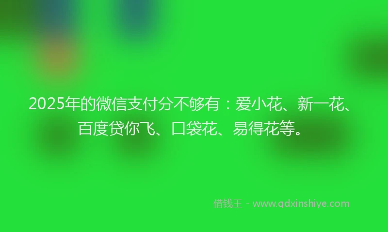 2025年的微信支付分不够有：爱小花、新一花、百度贷你飞、口袋花、易得花等。