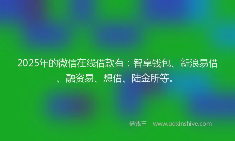 2025年的微信在线借款有：智享钱包、新浪易借、融资易、想借、陆金所等。