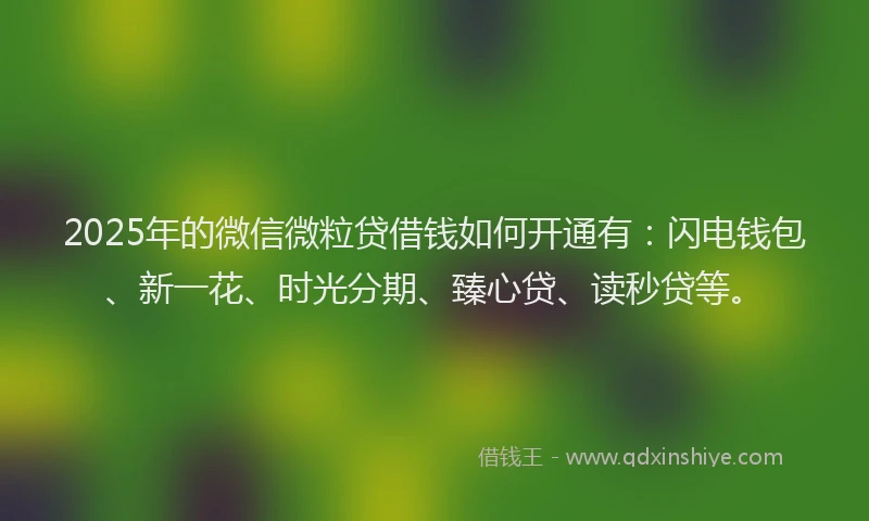 2025年的微信微粒贷借钱如何开通有：闪电钱包、新一花、时光分期、臻心贷、读秒贷等。
