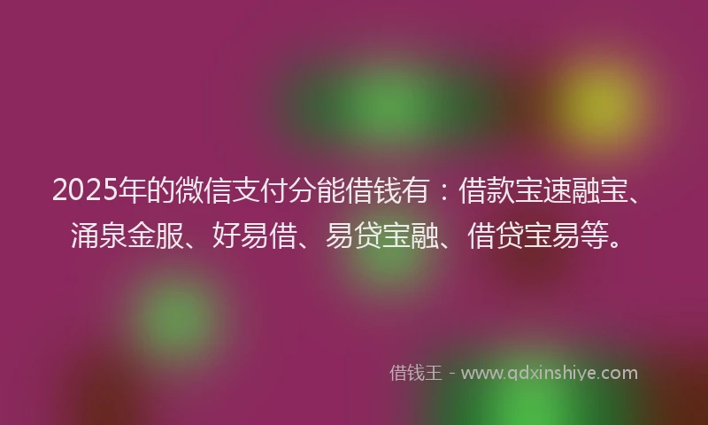 2025年的微信支付分能借钱有：借款宝速融宝、涌泉金服、好易借、易贷宝融、借贷宝易等。