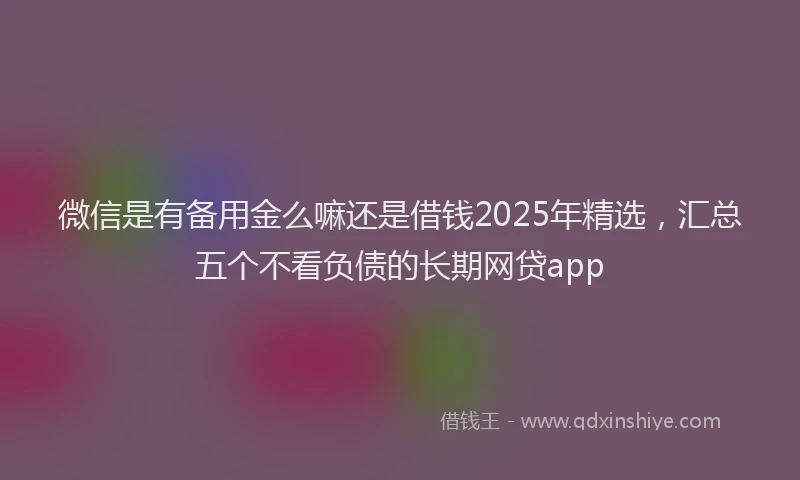 微信是有备用金么嘛还是借钱2025年精选，汇总五个不看负债的长期网贷app