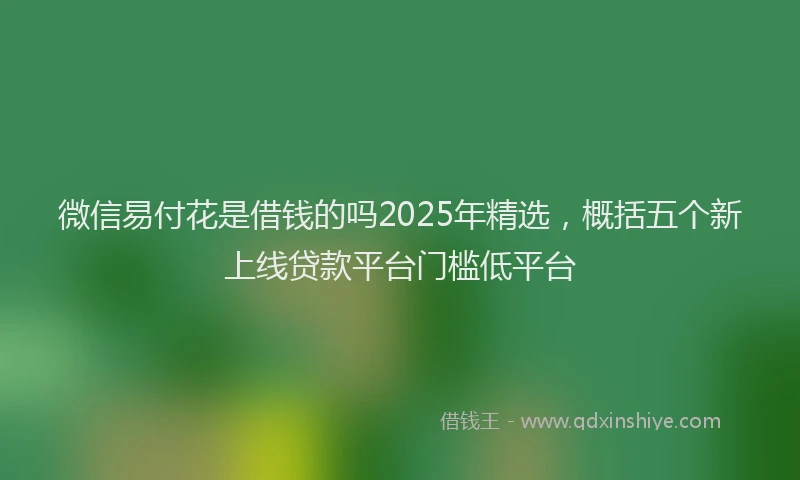 微信易付花是借钱的吗2025年精选，概括五个新上线贷款平台门槛低平台