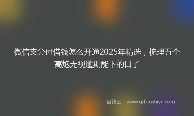 微信支分付借钱怎么开通2025年精选，梳理五个高炮无视逾期能下的口子