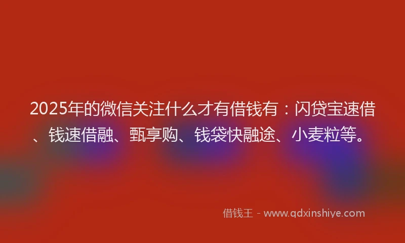 2025年的微信关注什么才有借钱有：闪贷宝速借、钱速借融、甄享购、钱袋快融途、小麦粒等。