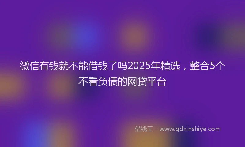 微信有钱就不能借钱了吗2025年精选，整合5个不看负债的网贷平台