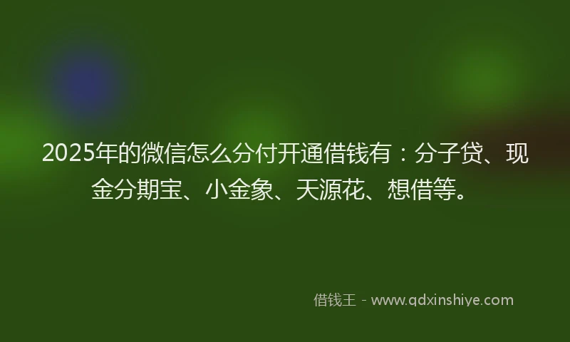 2025年的微信怎么分付开通借钱有：分子贷、现金分期宝、小金象、天源花、想借等。
