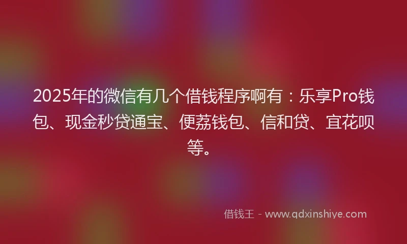 2025年的微信有几个借钱程序啊有：乐享Pro钱包、现金秒贷通宝、便荔钱包、信和贷、宜花呗等。