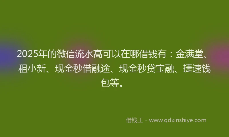 2025年的微信流水高可以在哪借钱有：金满堂、租小新、现金秒借融途、现金秒贷宝融、捷速钱包等。
