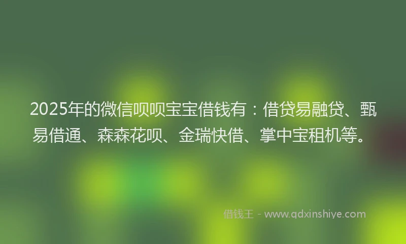 2025年的微信呗呗宝宝借钱有：借贷易融贷、甄易借通、森森花呗、金瑞快借、掌中宝租机等。