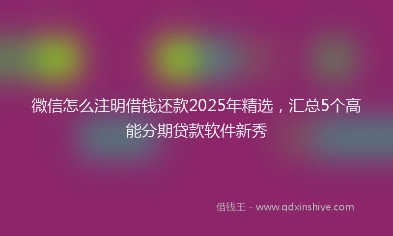 微信怎么注明借钱还款2025年精选，汇总5个高能分期贷款软件新秀