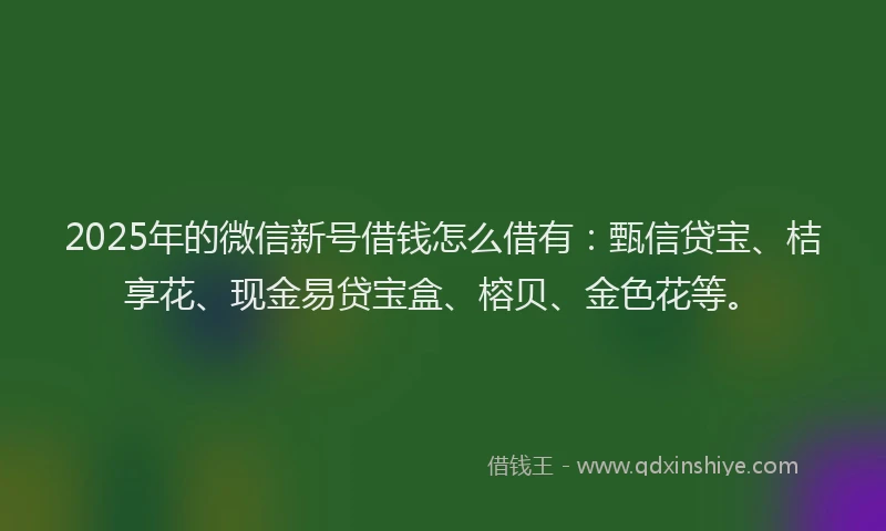 2025年的微信新号借钱怎么借有：甄信贷宝、桔享花、现金易贷宝盒、榕贝、金色花等。