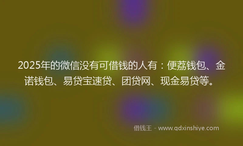 2025年的微信没有可借钱的人有：便荔钱包、金诺钱包、易贷宝速贷、团贷网、现金易贷等。