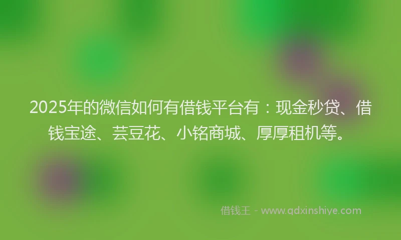 2025年的微信如何有借钱平台有：现金秒贷、借钱宝途、芸豆花、小铭商城、厚厚租机等。