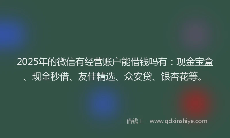 2025年的微信有经营账户能借钱吗有：现金宝盒、现金秒借、友佳精选、众安贷、银杏花等。