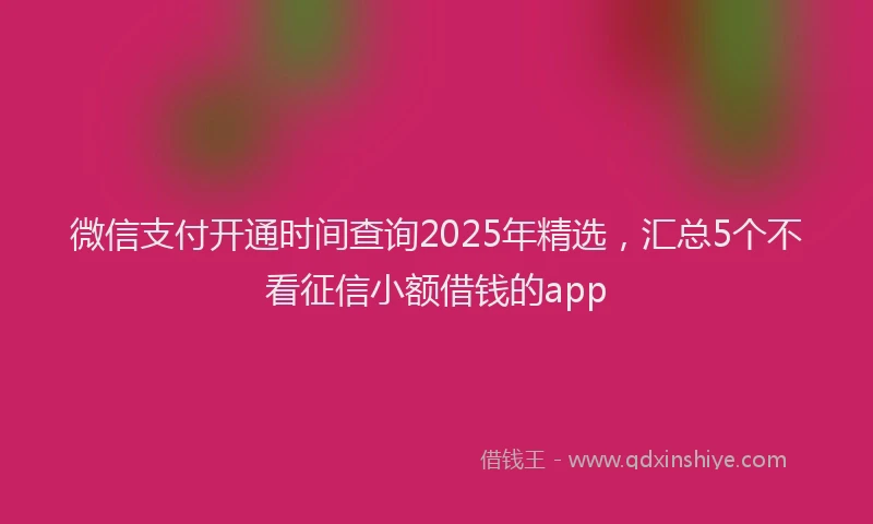 微信支付开通时间查询2025年精选，汇总5个不看征信小额借钱的app