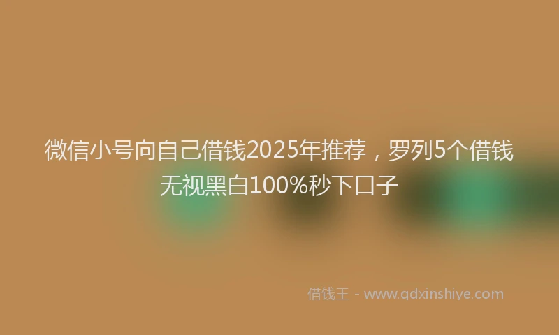 微信小号向自己借钱2025年推荐，罗列5个借钱无视黑白100%秒下口子