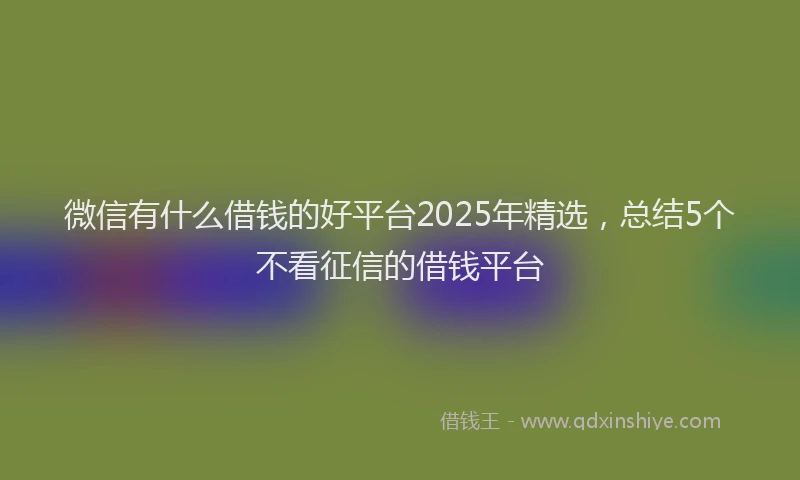 微信有什么借钱的好平台2025年精选，总结5个不看征信的借钱平台