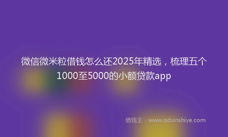微信微米粒借钱怎么还2025年精选，梳理五个1000至5000的小额贷款app