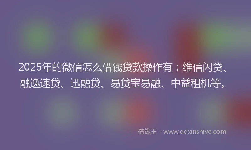 2025年的微信怎么借钱贷款操作有：维信闪贷、融逸速贷、迅融贷、易贷宝易融、中益租机等。