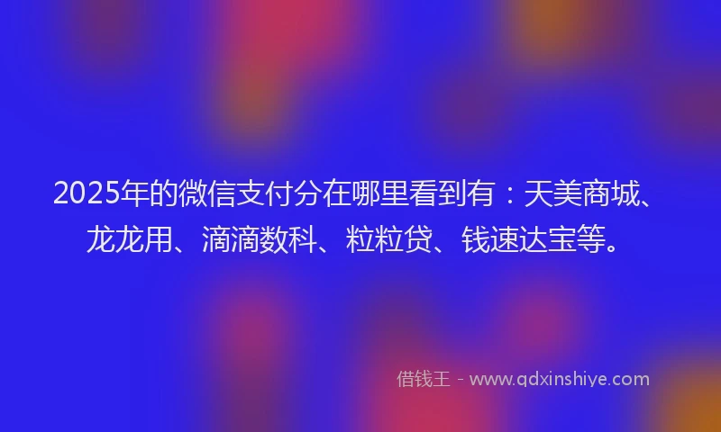 2025年的微信支付分在哪里看到有：天美商城、龙龙用、滴滴数科、粒粒贷、钱速达宝等。