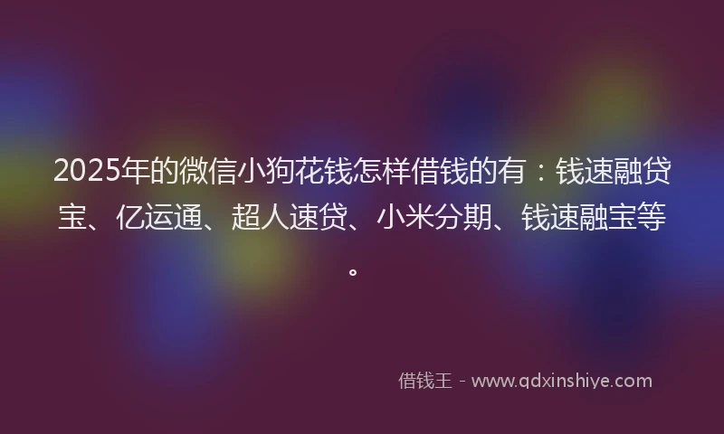 2025年的微信小狗花钱怎样借钱的有：钱速融贷宝、亿运通、超人速贷、小米分期、钱速融宝等。