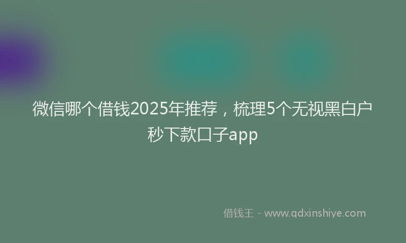 微信哪个借钱2025年推荐，梳理5个无视黑白户秒下款口子app