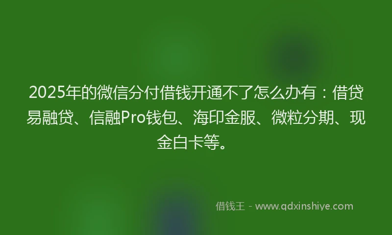 2025年的微信分付借钱开通不了怎么办有：借贷易融贷、信融Pro钱包、海印金服、微粒分期、现金白卡等。