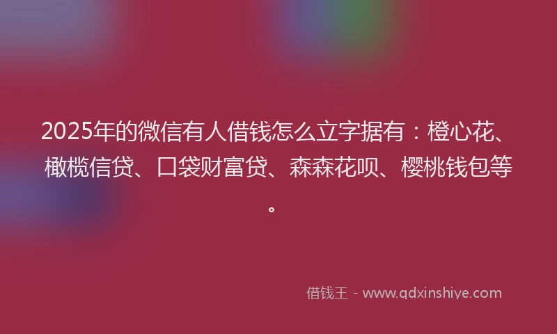 2025年的微信有人借钱怎么立字据有：橙心花、橄榄信贷、口袋财富贷、森森花呗、樱桃钱包等。