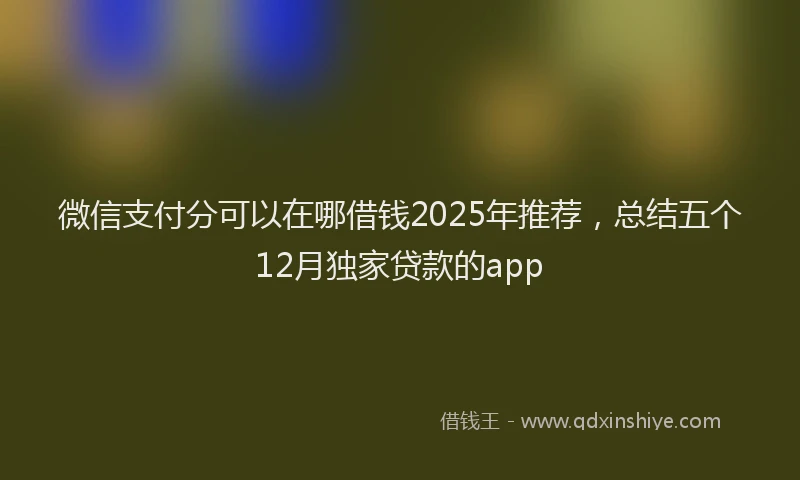 微信支付分可以在哪借钱2025年推荐，总结五个12月独家贷款的app