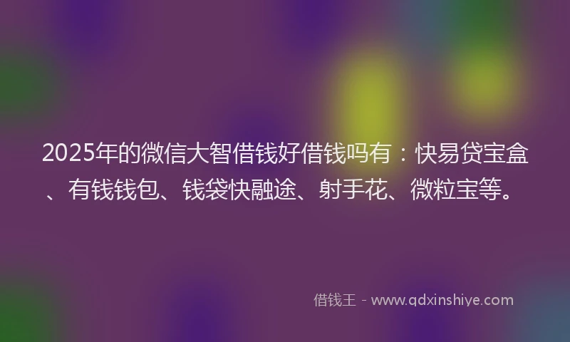 2025年的微信大智借钱好借钱吗有：快易贷宝盒、有钱钱包、钱袋快融途、射手花、微粒宝等。