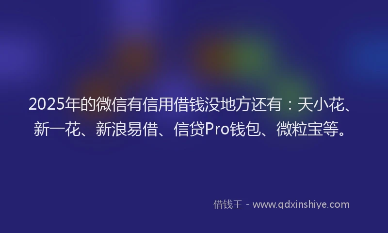 2025年的微信有信用借钱没地方还有：天小花、新一花、新浪易借、信贷Pro钱包、微粒宝等。