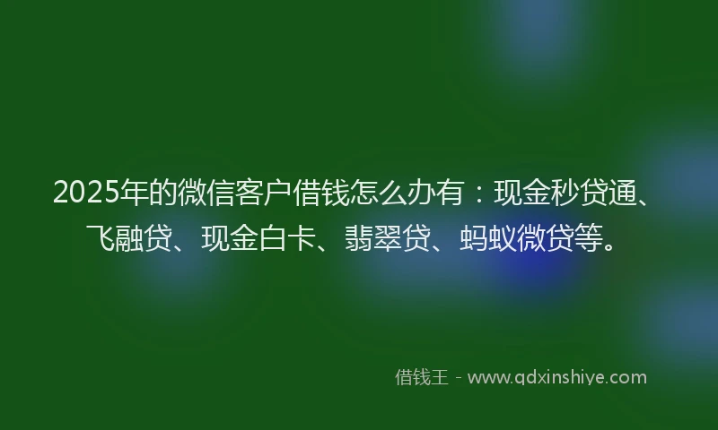 2025年的微信客户借钱怎么办有：现金秒贷通、飞融贷、现金白卡、翡翠贷、蚂蚁微贷等。