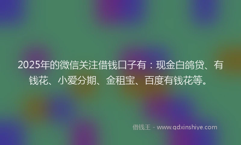 2025年的微信关注借钱口子有：现金白鸽贷、有钱花、小爱分期、金租宝、百度有钱花等。